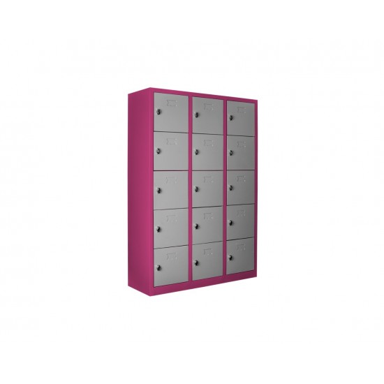 THE TEACHER WITH FIFTEEN EYES AND THE STORAGE CABINET THE TEACHER WITH FIFTEEN EYES AND THE STORAGE CABINET